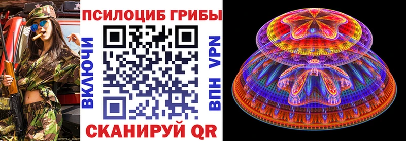 мега сайт  Менделеевск  Псилоцибиновые грибы прущие грибы 